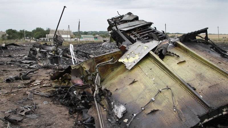 Эксперт назвал фейк о водителе тягача попыткой СБУ скрыть вину Украины в трагедии MH17