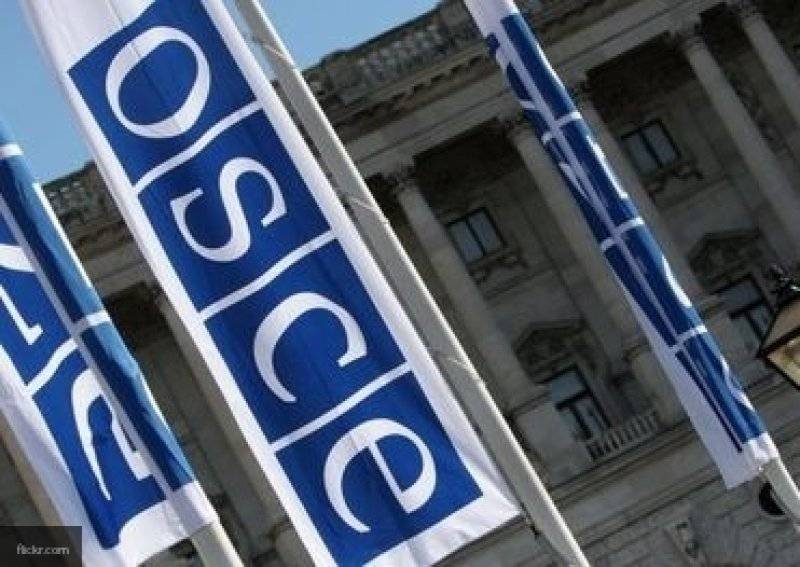 ОБСЕ призвала Киев учитывать интересы нацменьшинств при разработке законов о языке