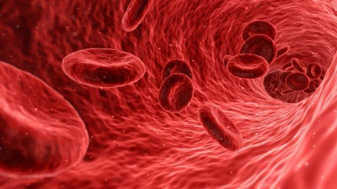 Немецкие ученые назвали самую сексуальную группу крови