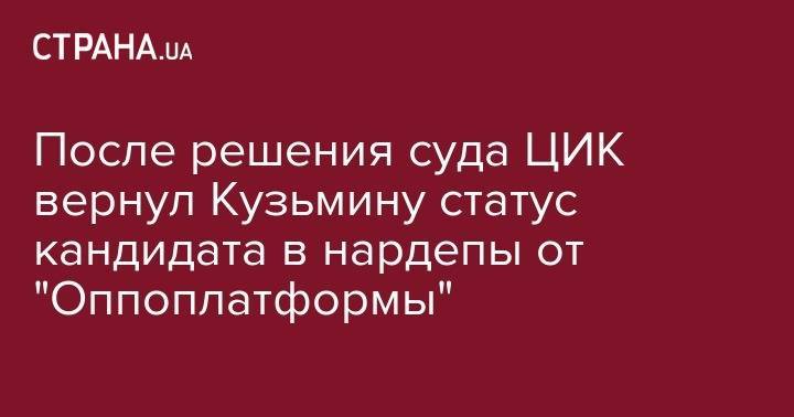 После решения суда ЦИК вернул Кузьмину статус кандидата в нардепы от "Оппоплатформы"