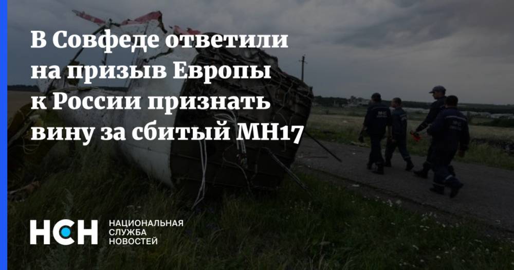 В Совфеде призыв Европы к России по Боингу MH17 назвали бюрократией