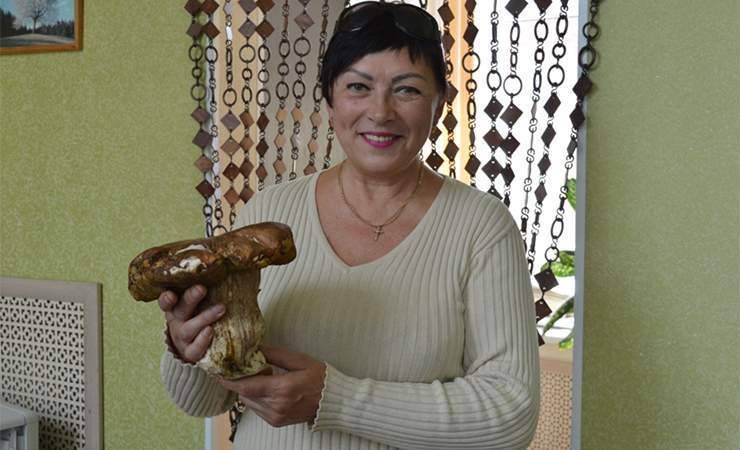 Фотофакт: бобруйчане нашли почти килограммовый боровик в Гомельской области