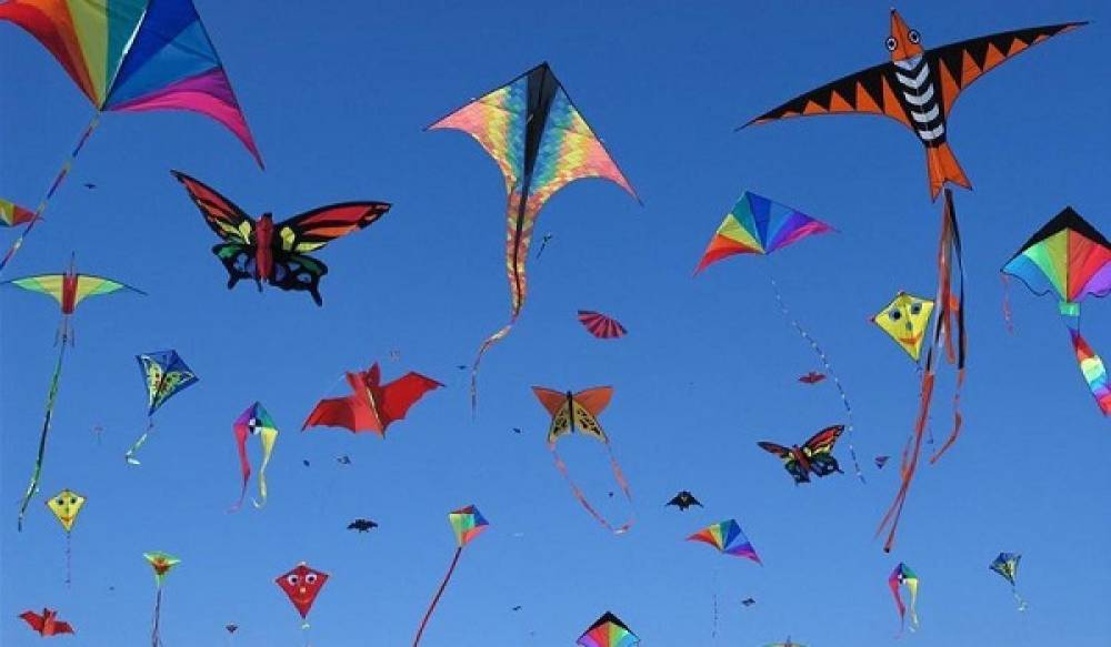 Фестиваль воздушных змеев пройдет на Озере Долгом