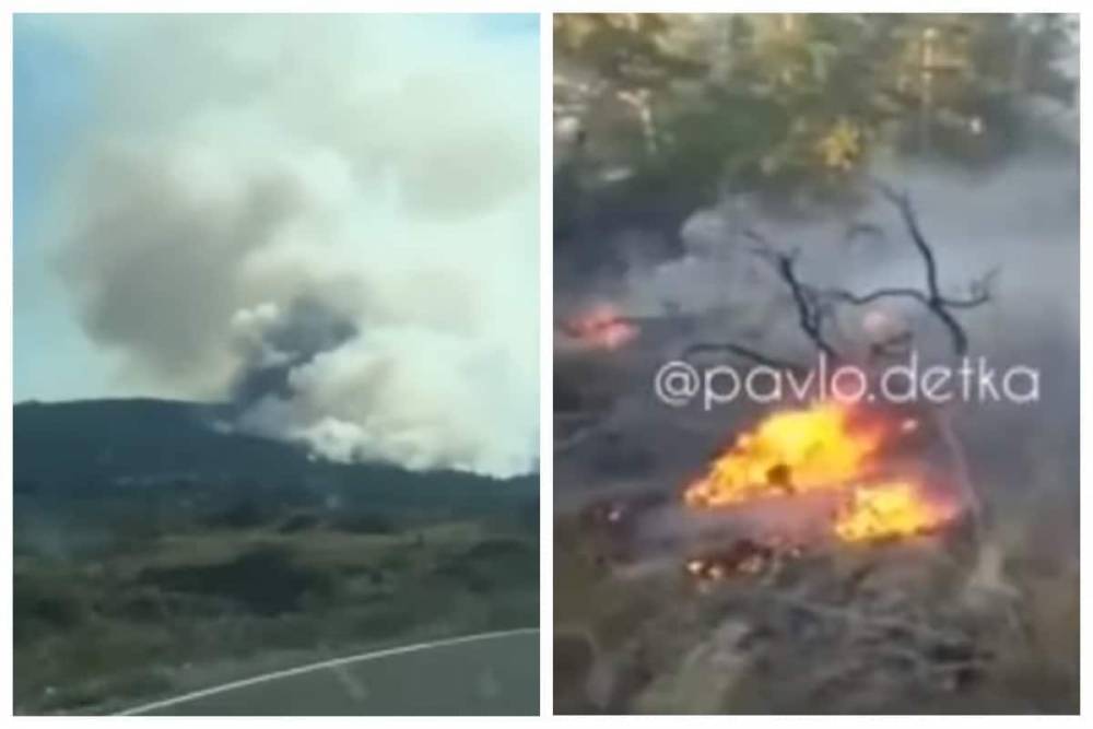 Трое суток полыхал лесной пожар в нацпарке Баянаул (видео)
