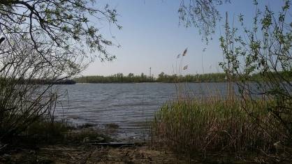 В районе Кумженской Рощи опрокинулась лодка, один человек пропал