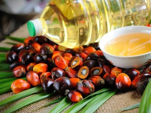 Володин сообщил о возможной отмене льготы на НДС для пальмового масла