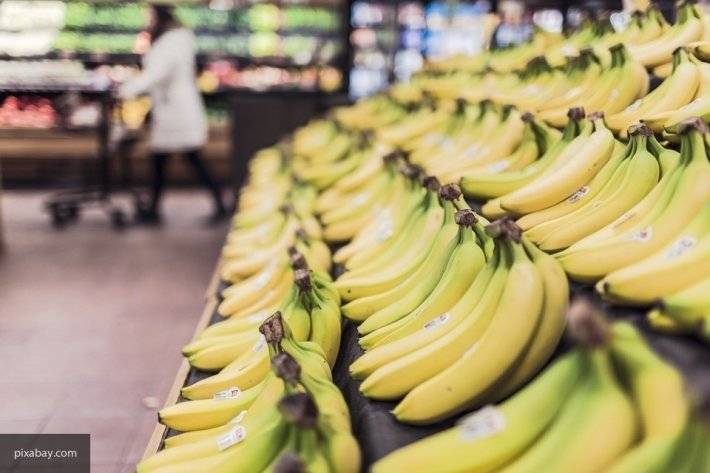 В Америке распространяется опасная эпидемия бананов