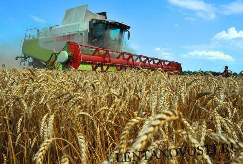 На Кубани уже собрали 10 млн тонн зерна