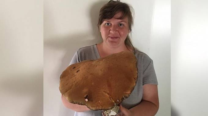 Лесничка из Ленобласти нашла гигантский "финский" гриб