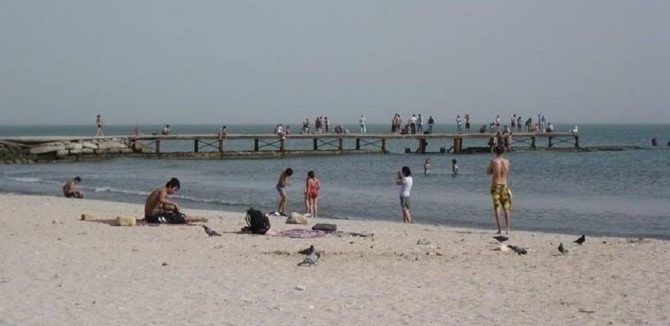 Вызывающая гангрену бактерия на пляжах Актау: в акимате нашли решение проблемы
