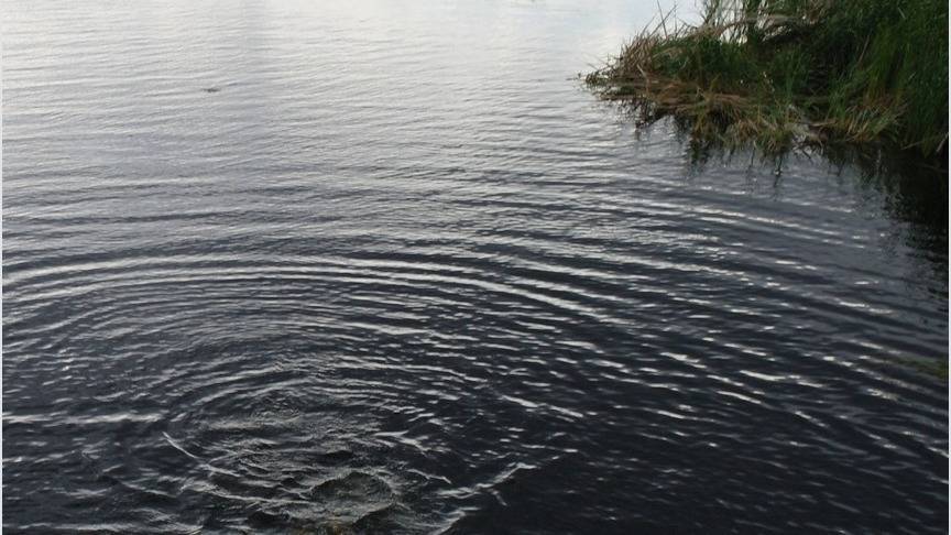 В Кировской области в пруду утонул молодой человек