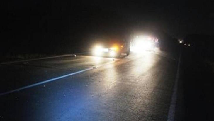 Полиция обратилась к свидетелям ночного наезда на пешехода у&nbsp;Добруни