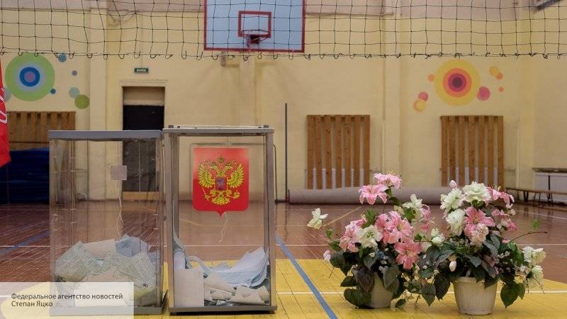 Общественники заявили о необходимости увеличения числа «дачных» участков на выборах в СПБ