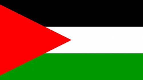 Английский город признал палестинское государство