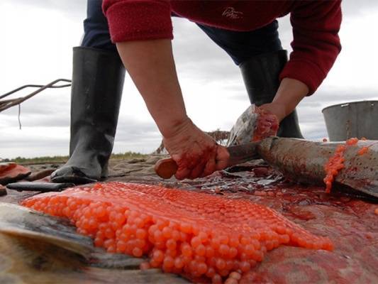 Красная рыба и икра вырастут в цене на 25−30% — Новости экономики, Новости России