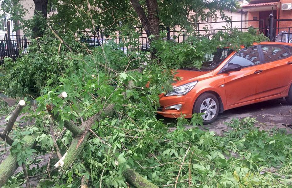 Три автомобиля повреждено упавшим деревом на улице Мантулинская
