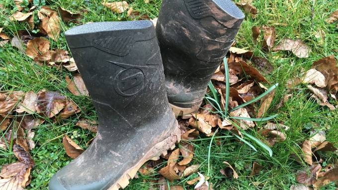 В лесу Всеволожского района нашли сапоги с отрубленными ногами