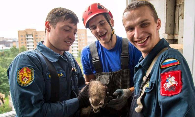 Застрявшего на чужом балконе хорька освободили спасатели в Москве