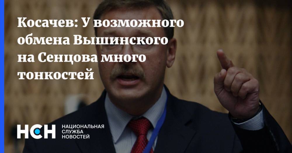 В Совфеде прокомментировали предложение Зеленского обменять Вышинского на Сенцова