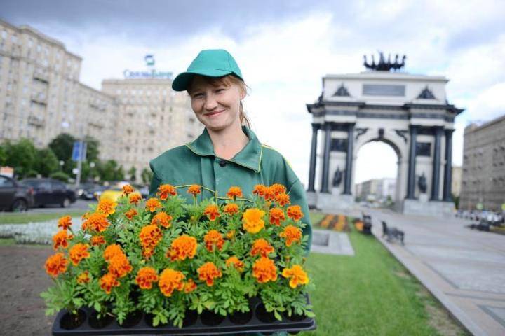 Установка видеокамер помогла предотвратить кражу цветов с городских клумб