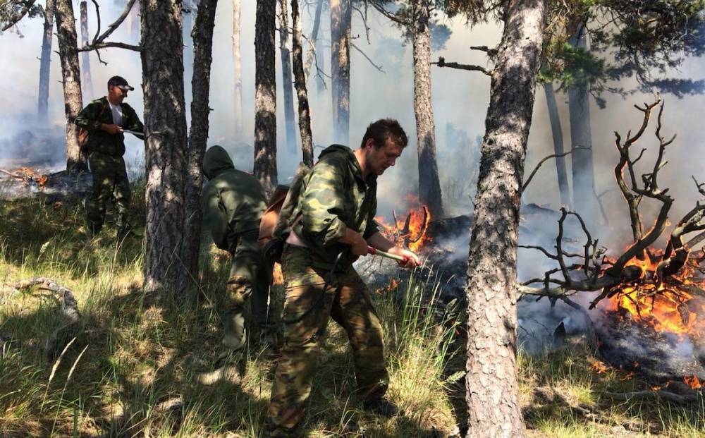 Как тушат пожар на горе Жеке Батыр (фото, видео)