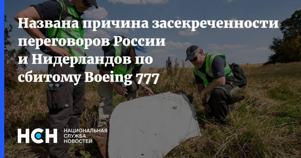 Названа причина засекреченности переговоров России и Нидерландов по сбитому Boeing 777