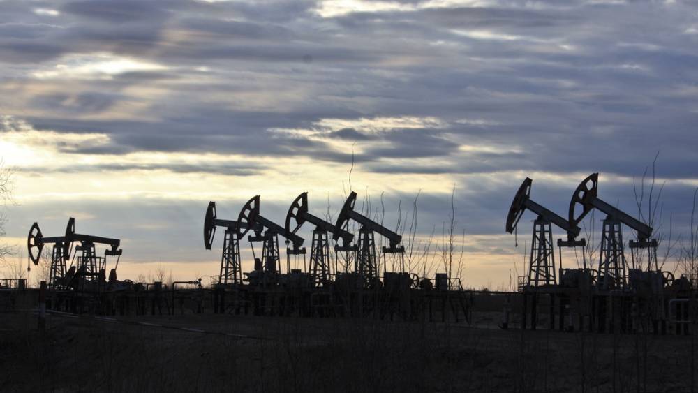 Хотите заправиться - вам в Казахстан: Заморозка цен на топливо оказалась не нужна ни нефтяникам, ни правительству России