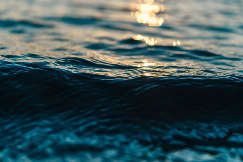 Ученые нашли связь между крепким здоровьем и близостью к морю