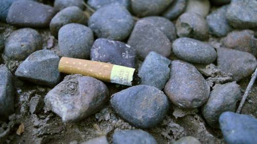 В Швеции к 2025 году хотят побороть курение
