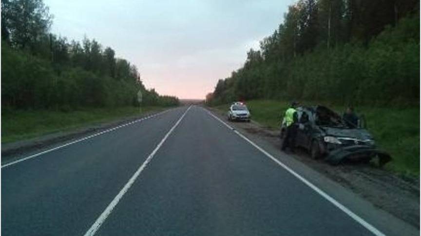 В Кировской области на трассе лось выскочил под колёса иномарки