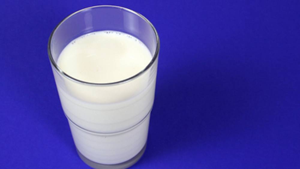 Молоко по новым правилам: Как в России будет действовать закон о продаже молочной продукции