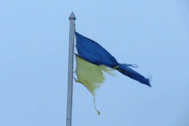 Киевские эксперты: Украина нагадила всем – все отвернулись | Политнавигатор