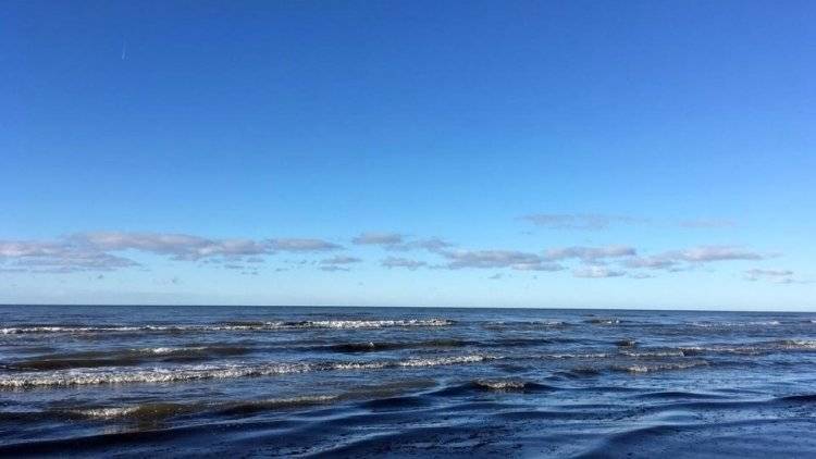 Пять человек утонули на море в в Калининградской области за выходные