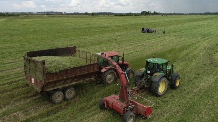 СМИ сообщили об угрозе роста стоимости мяса