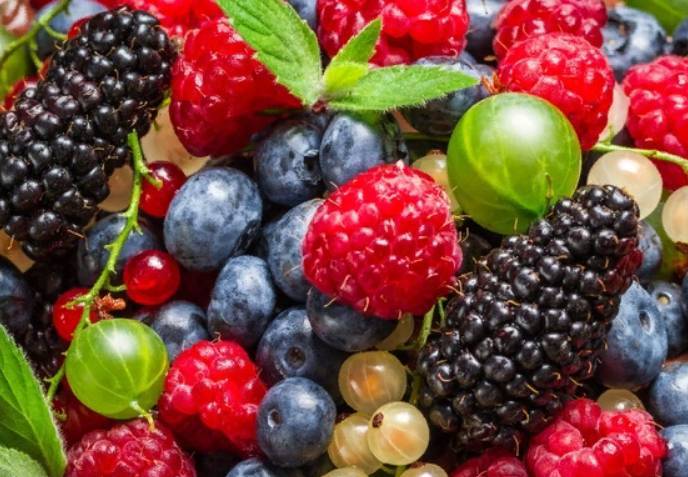 Ученые рассказали о преимуществах употребления ягод