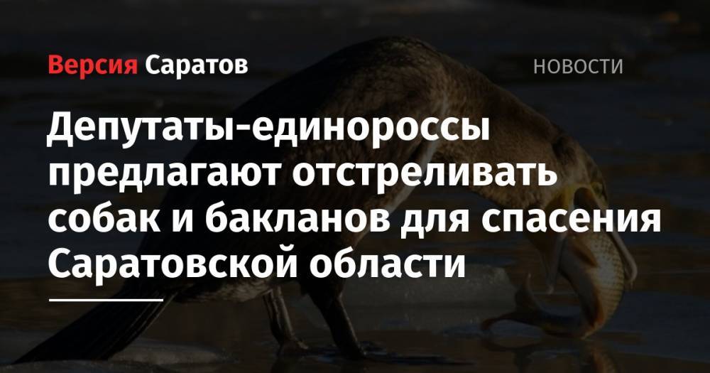 Депутаты-единороссы предлагают отстреливать собак и бакланов для спасения Саратовской области