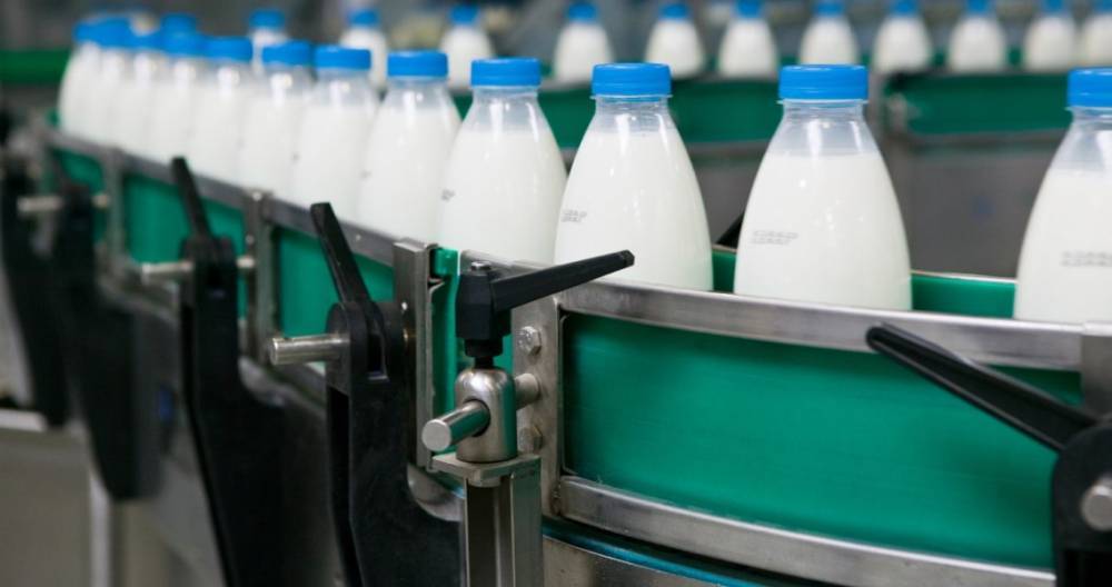 Экспериментальная маркировка молочных продуктов стартует 15 июля