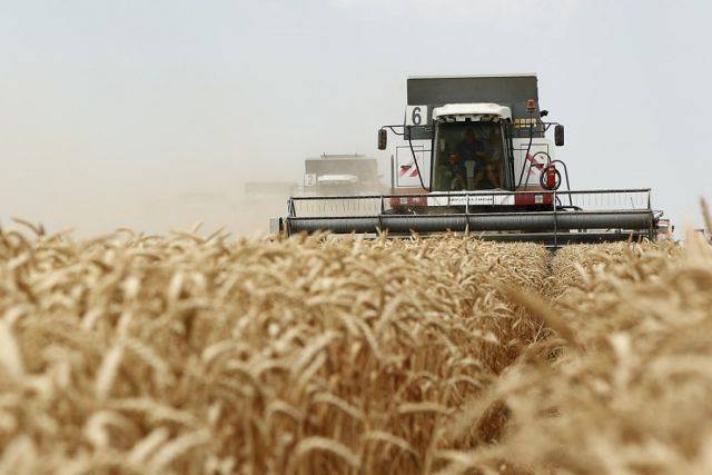 Прогноз по урожаю зерновых в 2019 году сохраняется в объеме 118 мл тонн