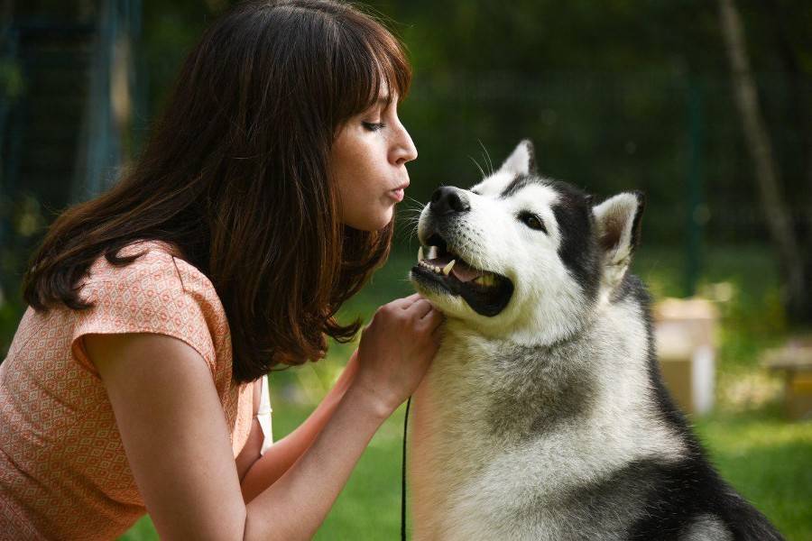 Москвичам рекомендовали больше играть со своими собаками, гладить и обнимать их