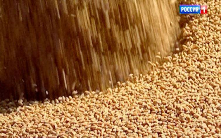 Донские аграрии собрали уже 2 млн 615 тысяч тонн зерна