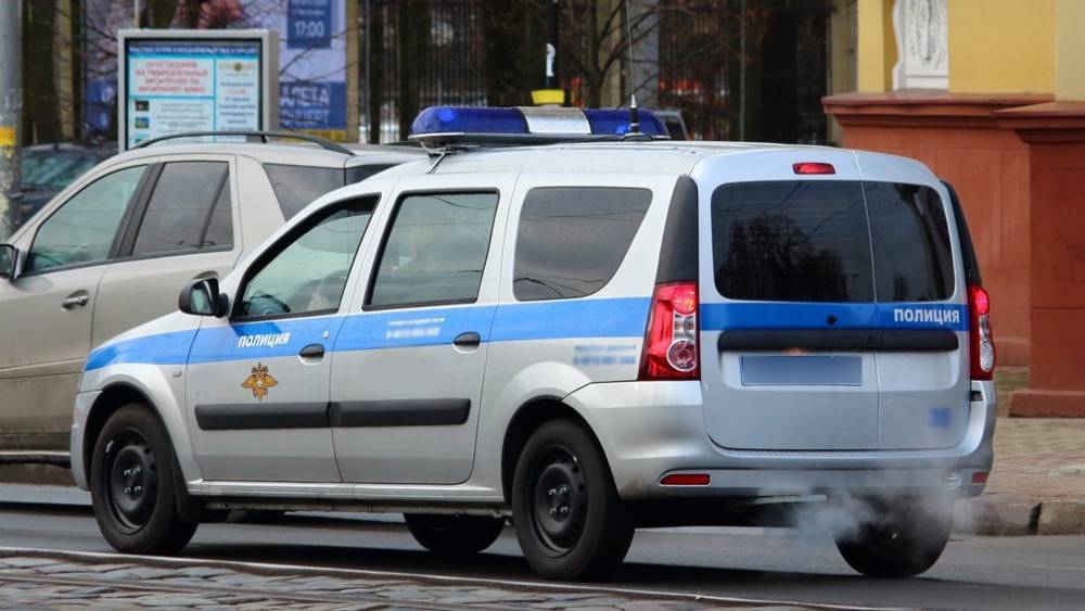 АвтоВАЗ начнет выпуск полицейских LADA Largus | РИА «7 новостей»