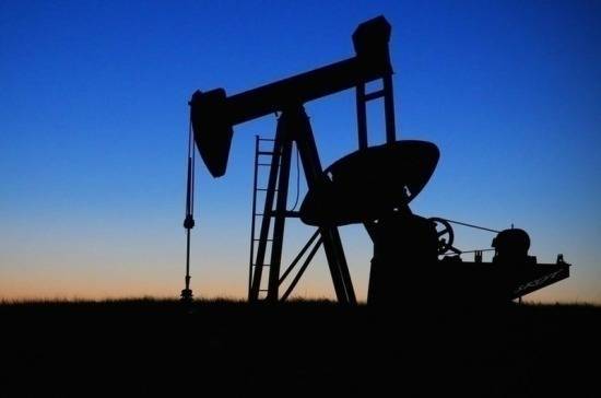 Госдума приняла проект о стабилизации цен на нефть в первом чтении