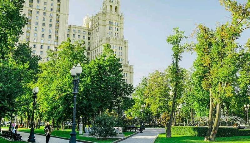 Обрезка и полив: как в Москве ухаживают за деревьями и кустарниками