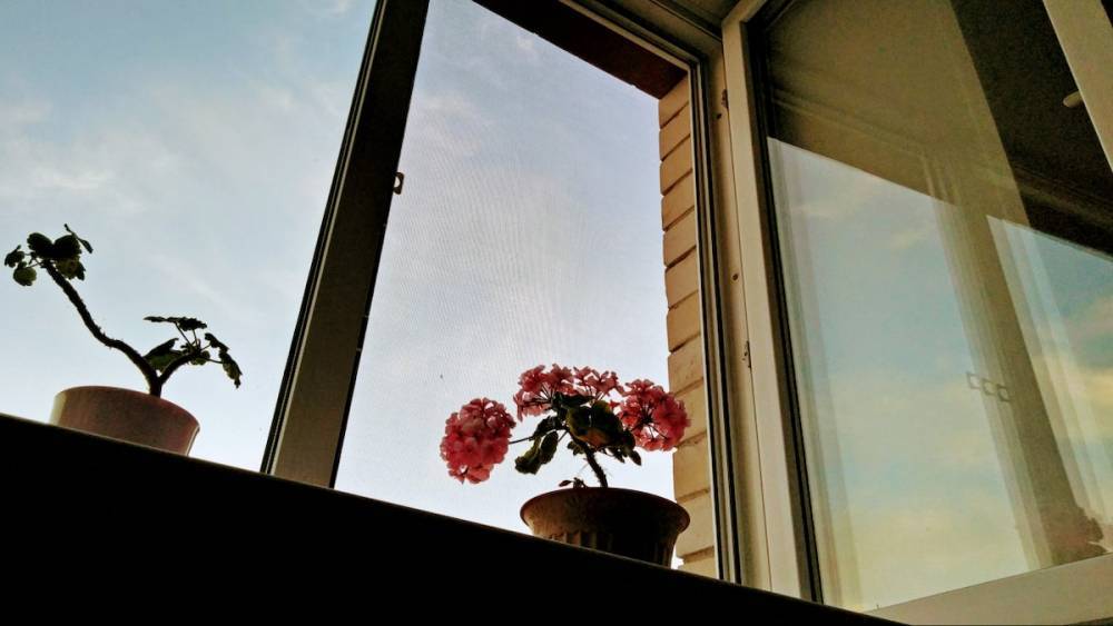 Дмитрий Зайцев - Перелез в окно через балкон: мужчина спас ребенка в Петропавловске - nur.kz - Петропавловск