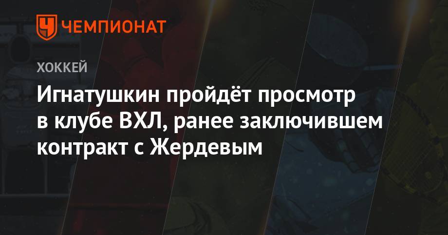 Игнатушкин пройдёт просмотр в клубе ВХЛ, ранее заключившим контракт с Жердевым