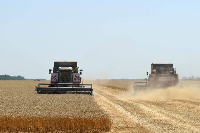 Краснодарский край собрал рекордный урожай зерна