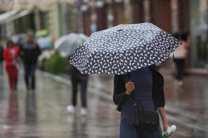 Наивысший уровень опасности объявили в Японии из-за ливней