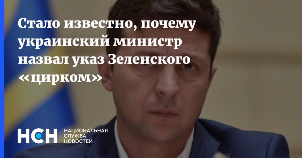 Украинский экономист назвал мотивы критики Зеленского министром Омеляном