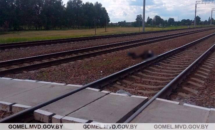 В Жлобинском районе поезд насмерть сбил мужчину
