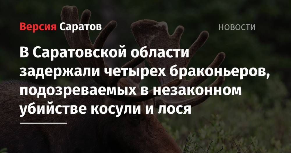 В Саратовской области задержали четырех браконьеров, подозреваемых в незаконном убийстве косули и лоси